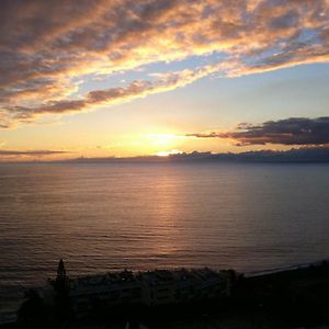 Shearwaters - Sounds Of The Sea